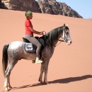 chevaux-belle-cavaliere-sur-bel-arabe