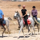 chevaux-groupe-de-cavaliers-au-depart-de-dana