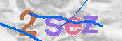 Image Anti-spam