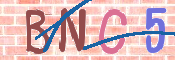 Image Anti-spam