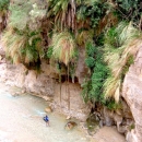 jordanie-jardins-suspendus-canyon-wadi-hasa