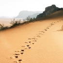 Desert-jordanie-traces-dans-le-sable_d-roberts