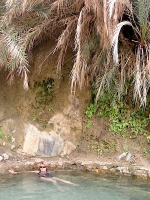 wadi-weida-pool
