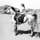 chevaux-bedouin-horse-sholah