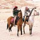 chevaux-wadi-rum-horses