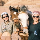 nos-chevaux-wadi-rum-horses