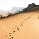 traces-dans-le-sable_photo-david-roberts