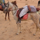 atallah-sabbah-premier-guide-equestre-bedouin