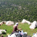 Jordanie-entre-chateau-ajloun-et-kufranja