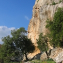 jordanie-falaise-du-nord-et-chene-vert