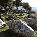 nature-du-nord-jordanie