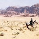 16-ziggy-et-mad-dans-wadi-rum-super-focus_0