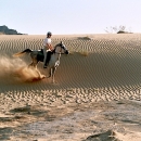 8-descente-de-dune-au-galop-un-regal_0